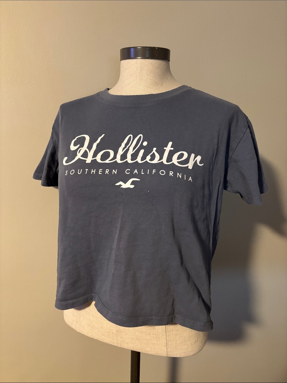 Hollister Navy Short-Sleeve Graphic Tee with White Logo